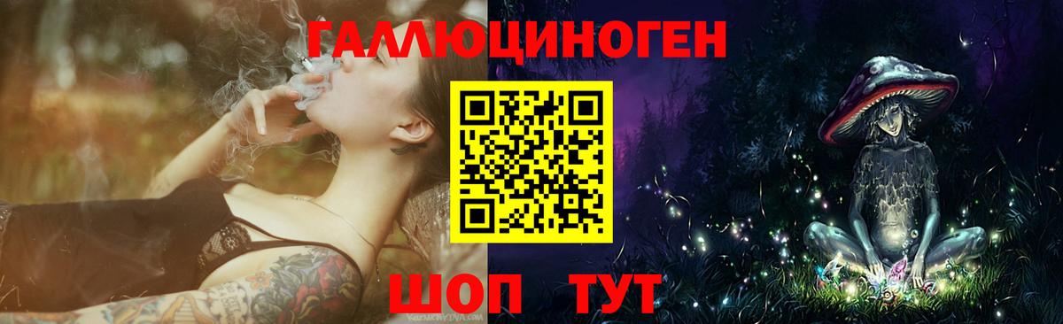Коркино  Галлюциногенные грибы прущие грибы  Вход с VPN 